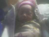 Alya 93